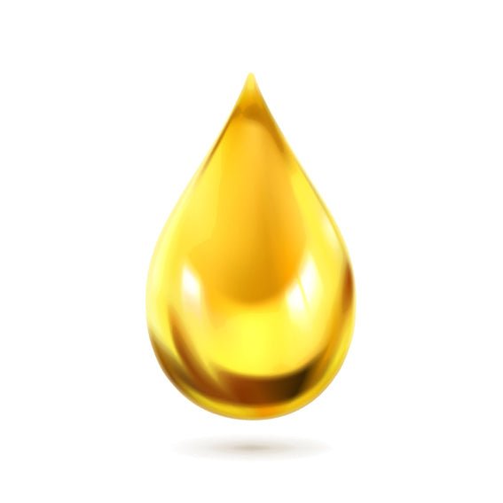 Warum ist das Ölen der Instrumente so wichtig ? - Werkstattblick